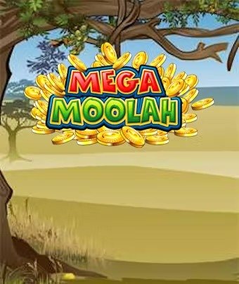 imgi_281_MegaMoolah_backplate-1